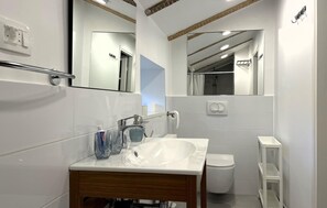 Shower, hair dryer