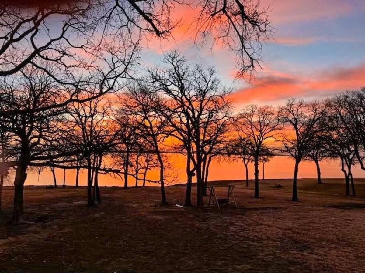 Værtens profilbillede