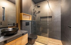 Shower, hair dryer