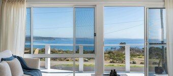 Bawley Blue Summary: