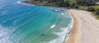 Bawley Blue Summary: