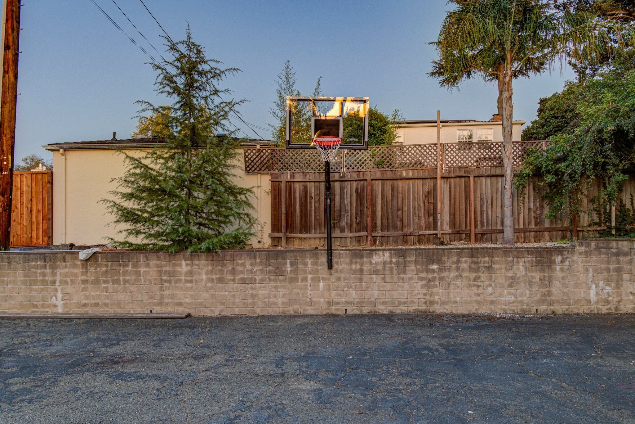Canasta de baloncesto en un patio trasero con cerco de madera, pared de ladrillo y un árbol.
