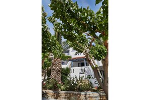 Exterior - Studio Apartment 'Irene 4 Superior Triple 3' with Sea View, Wi-Fi and Air Conditioning (Andros)