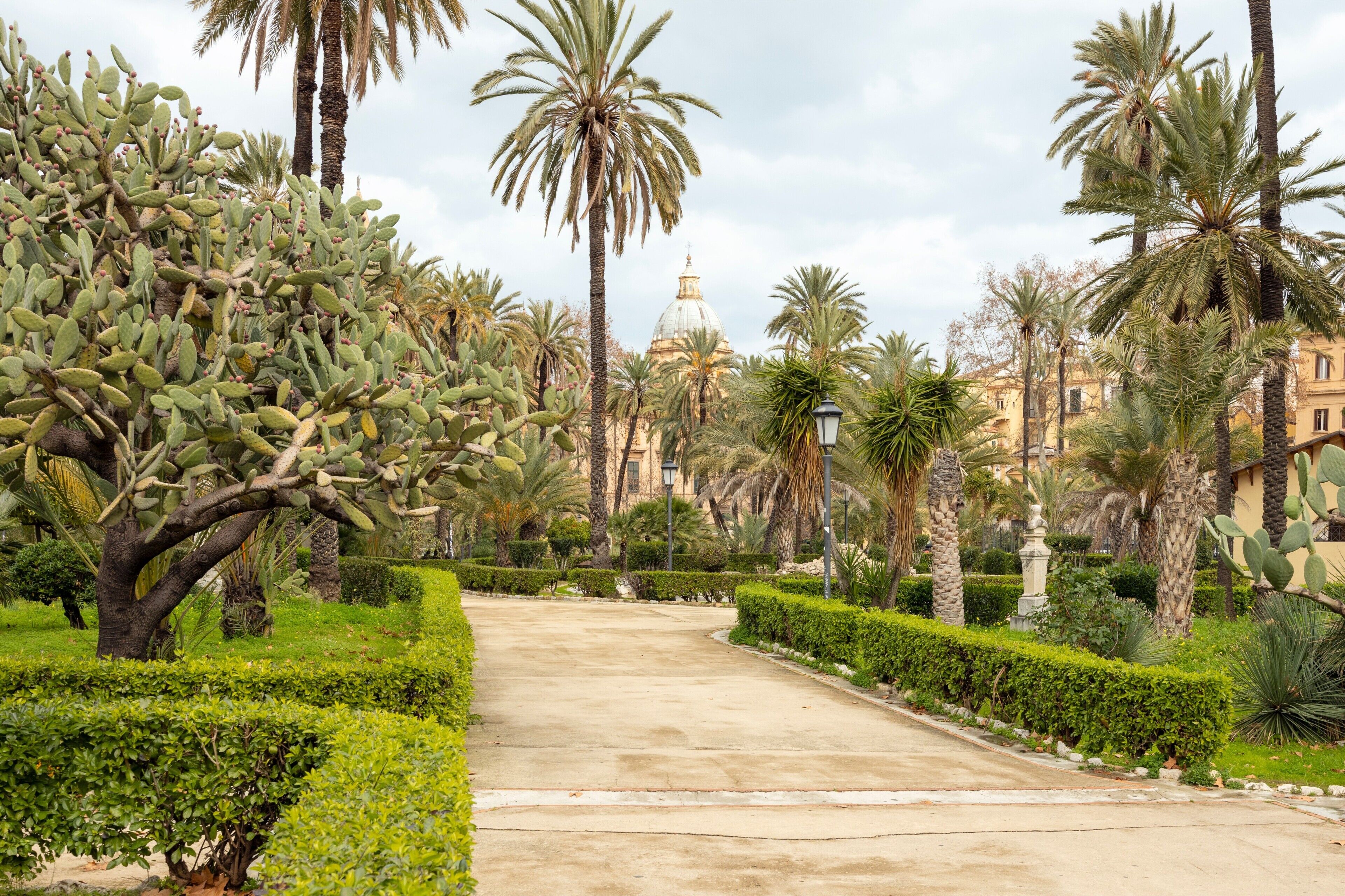 Un sentiero costeggiato da cactus e palme che conduce a un edificio con una cupola.