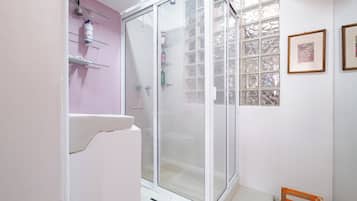 Hair dryer, towels, soap, shampoo