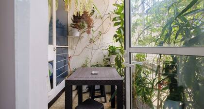 ITZAE BUGAMBILIA POLANQUITO WALKS TO THE AUDITORIUM DOGS OK