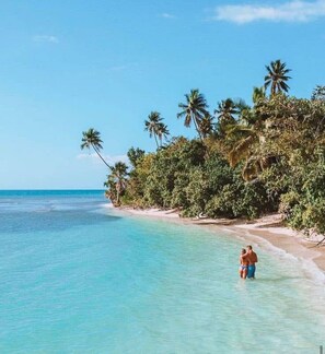 Une plage avec une eau turquoise et limpide, des palmiers et un couple qui se trouve dans l’eau.
