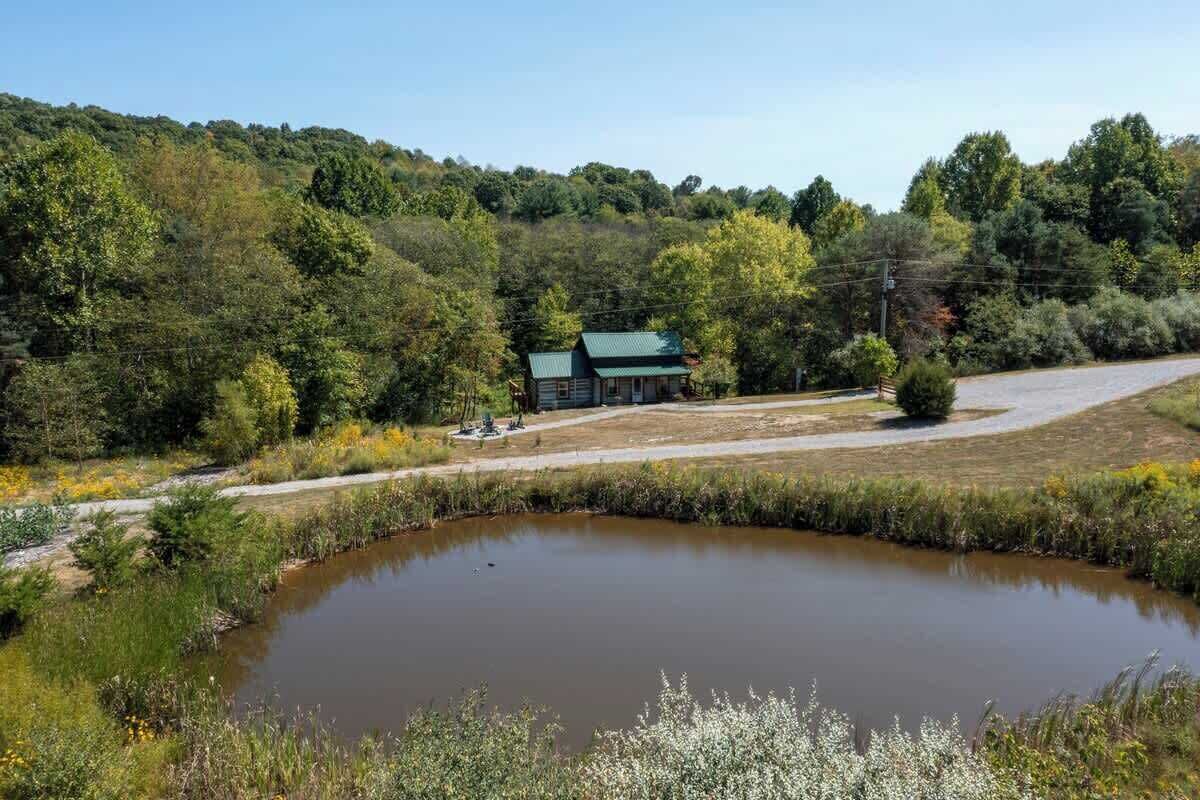 Ein Haus mit grüner Dachbegrünung, umgeben von einem Teich und dichtem Wald.