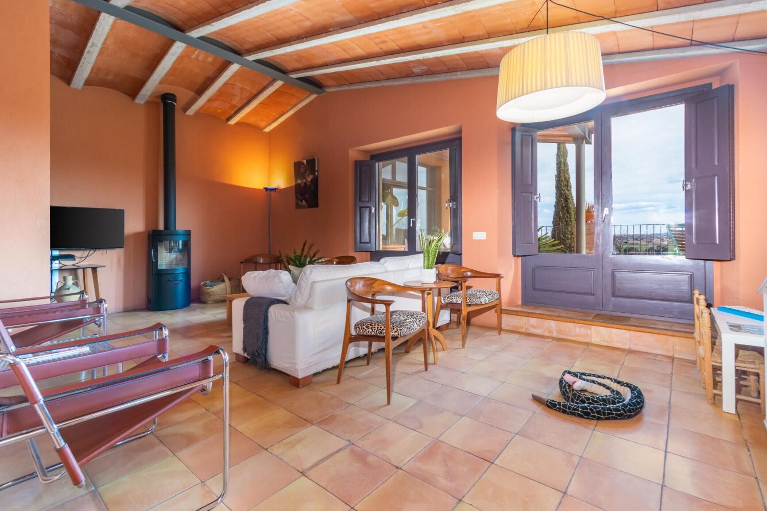 Tv, pejs, dvd-afspiller, bordtennisbord