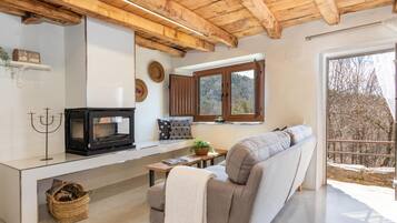 TV, fireplace, table tennis