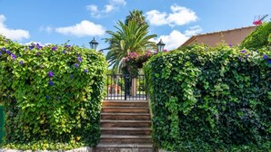 Una escalera de piedra conduce a una entrada con puerta, rodeada de setos verdes frondosos y plantas con flores.