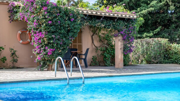 Una piscina con una escalera de metal, rodeada de un jardín con flores moradas y una pérgola.