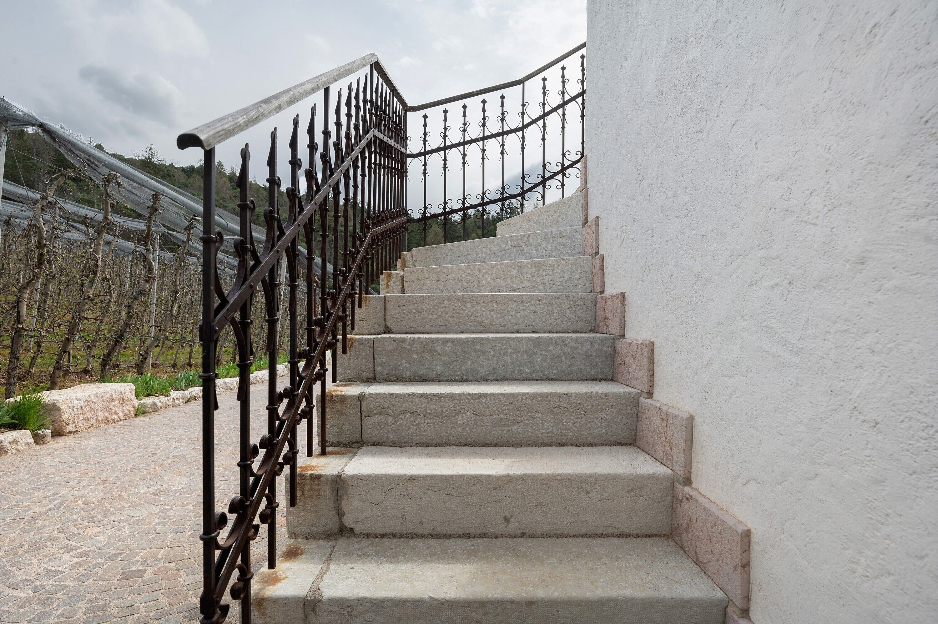 Eine Treppe mit schmiedeeisernem Geländer, die zu einer weißen Wand führt.