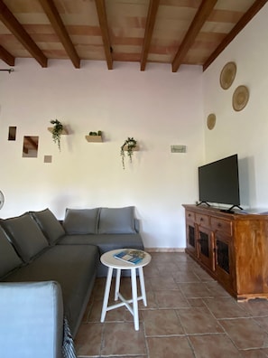 Un salon avec un canapé, un téléviseur posé sur un meuble en bois et des jardinières fixées au mur.