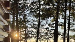 A wooden deck leading to a cabin with a view of a lake and trees. - Sunset Serenity (Waterfront on Moosehead Lake!) (Greenville)