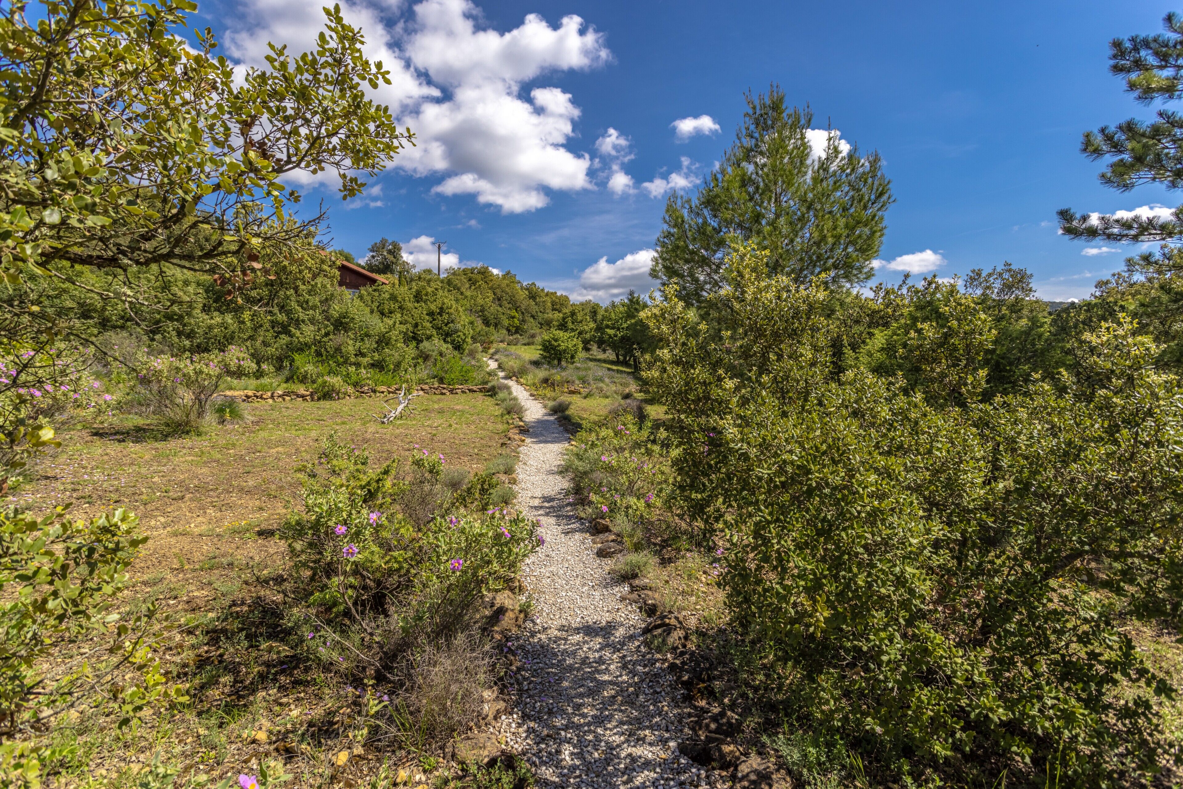 Terrain de l’hébergement 