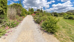A gravel path flanked by lush greenery and flowering plants, leading to a rustic building with a red roof. - Chalet 'Afrique' with Mountain Views, Shared Pool and Private Terrace (Rouffiac-des-Corbières)