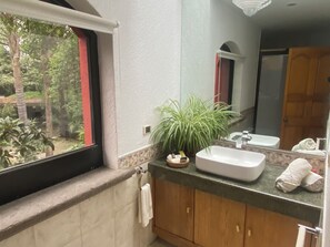 Shower, jetted tub, hair dryer, towels