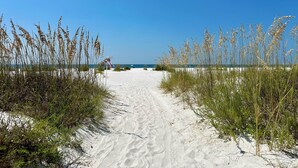 A sandy beach path with tall grasses on either side, leading to the ocean. - NEW HOME! AMISTAD IS AN UPSCALE 6BD/4BA HOME W/GULF & CANAL VIEWS, PRIVATE POOL! (Mexico Beach)