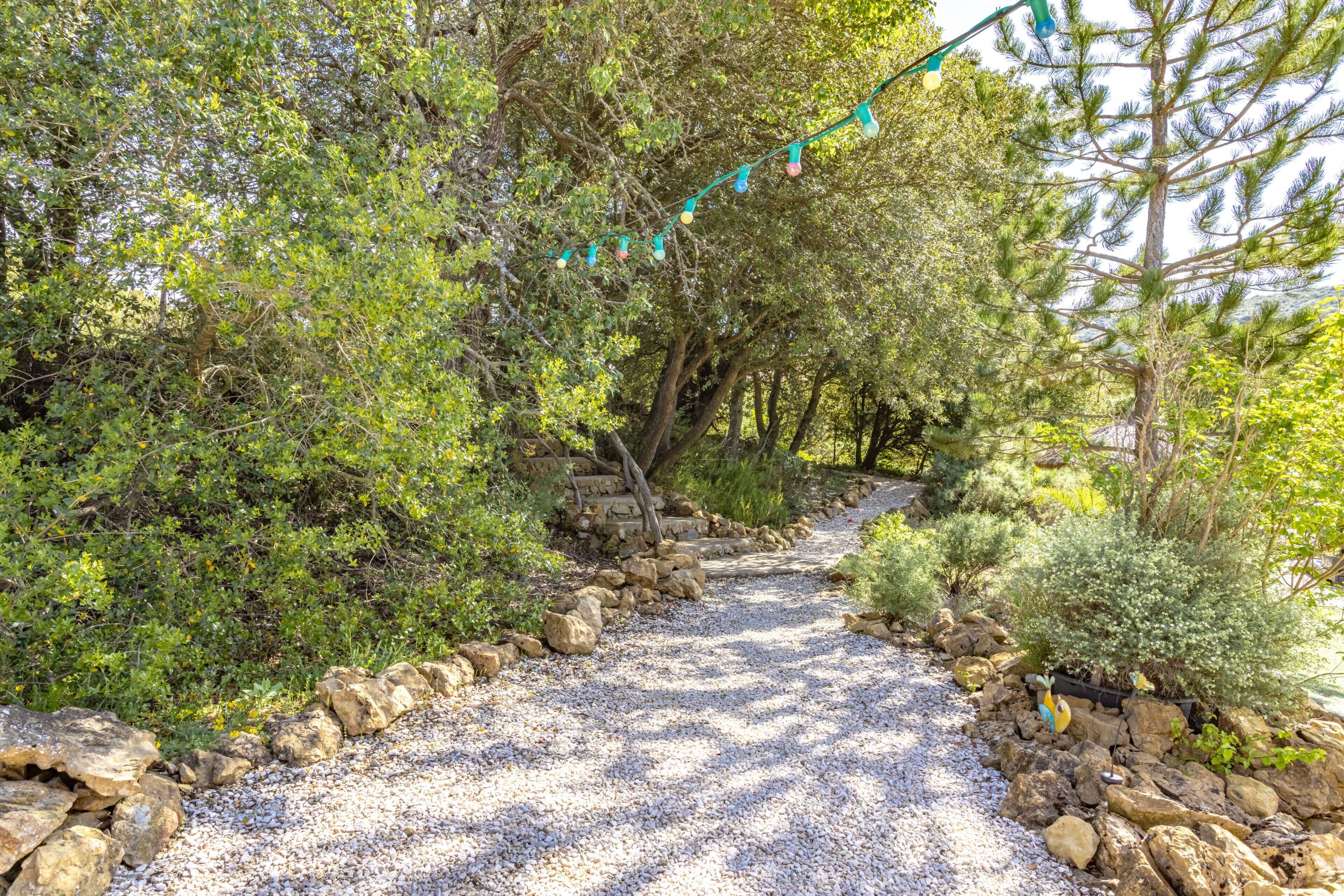 Un sendero de grava rodeado de rocas y vegetación, que serpentea por un área boscosa.