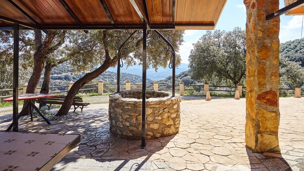 Un espacio al aire libre cubierto con bancos de piedra y una mesa, rodeado de árboles y un muro de piedra.