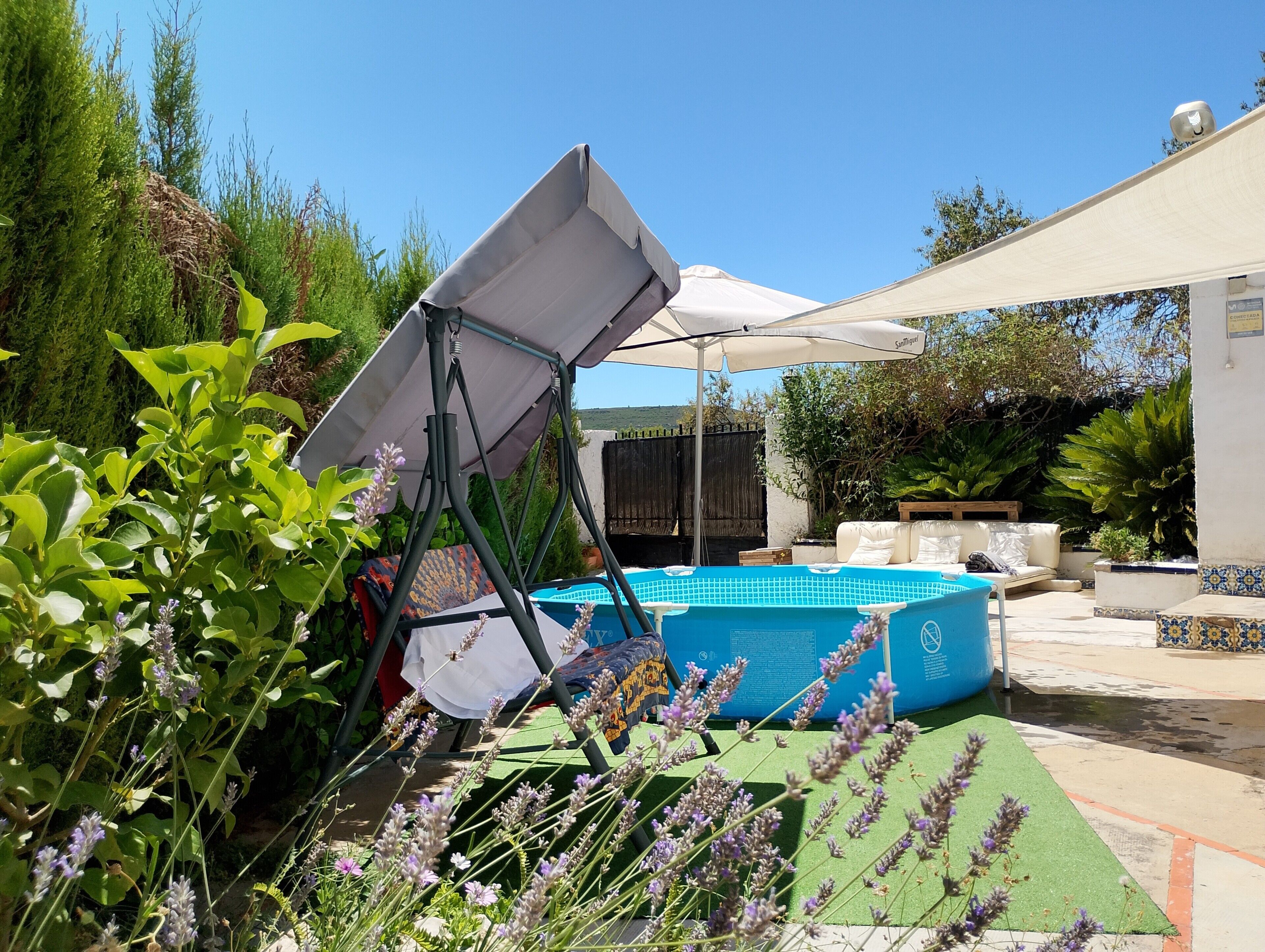A pool area with a swing chair, a covered seating area, and surrounding greenery.