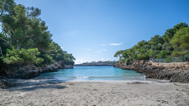 Une plage à l’eau claire, bordée de falaises rocheuses et d’une végétation luxuriante.
