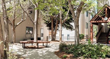 Code & Comfort | Boston Commons