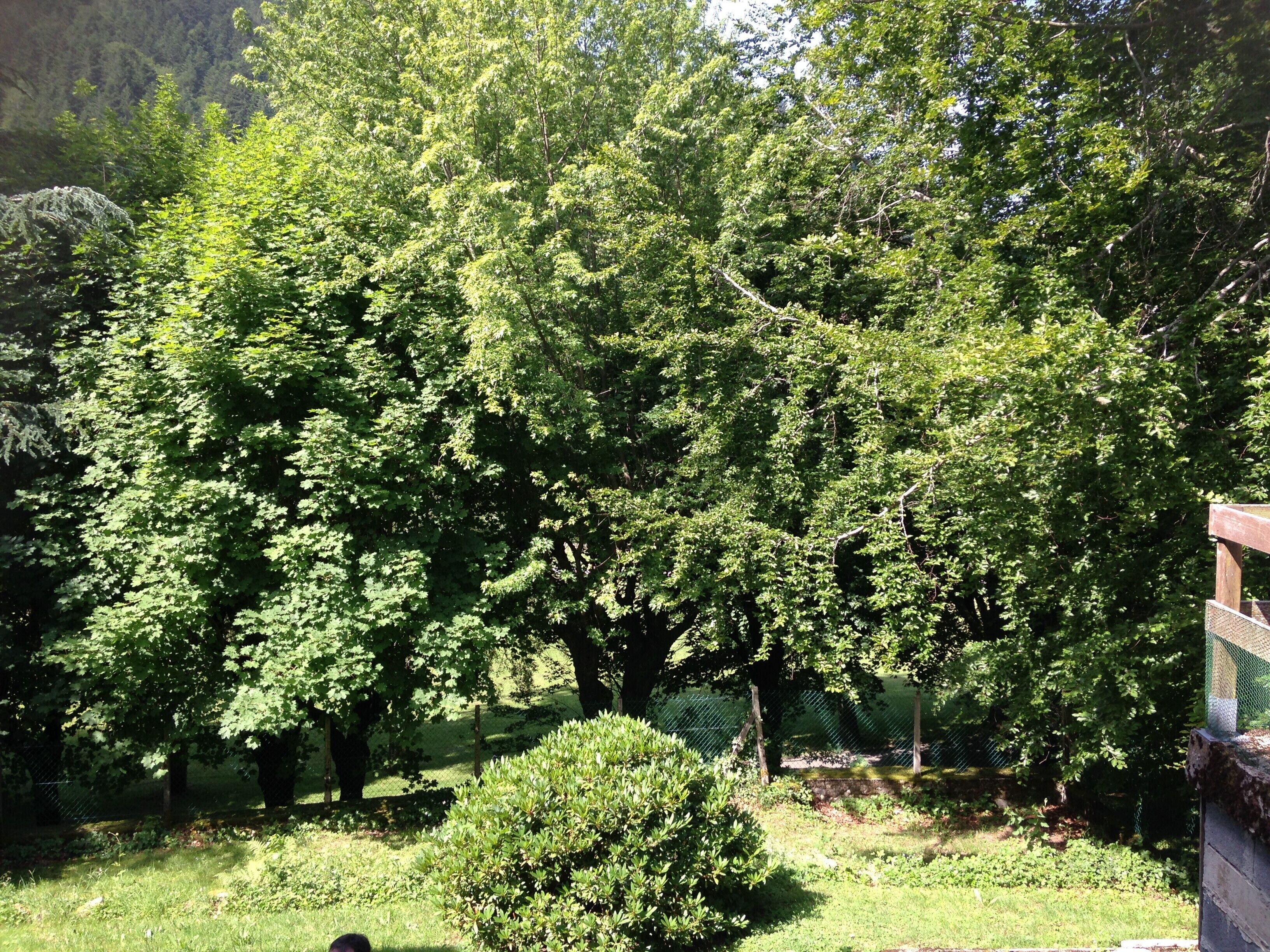 Enceinte de l’hébergement