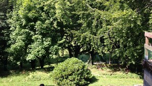 A lush green landscape with dense foliage and a variety of trees. - Villa 'L'autre Vie Là' with Mountain Views, Private Terrace and Wi-Fi (La Bourboule)