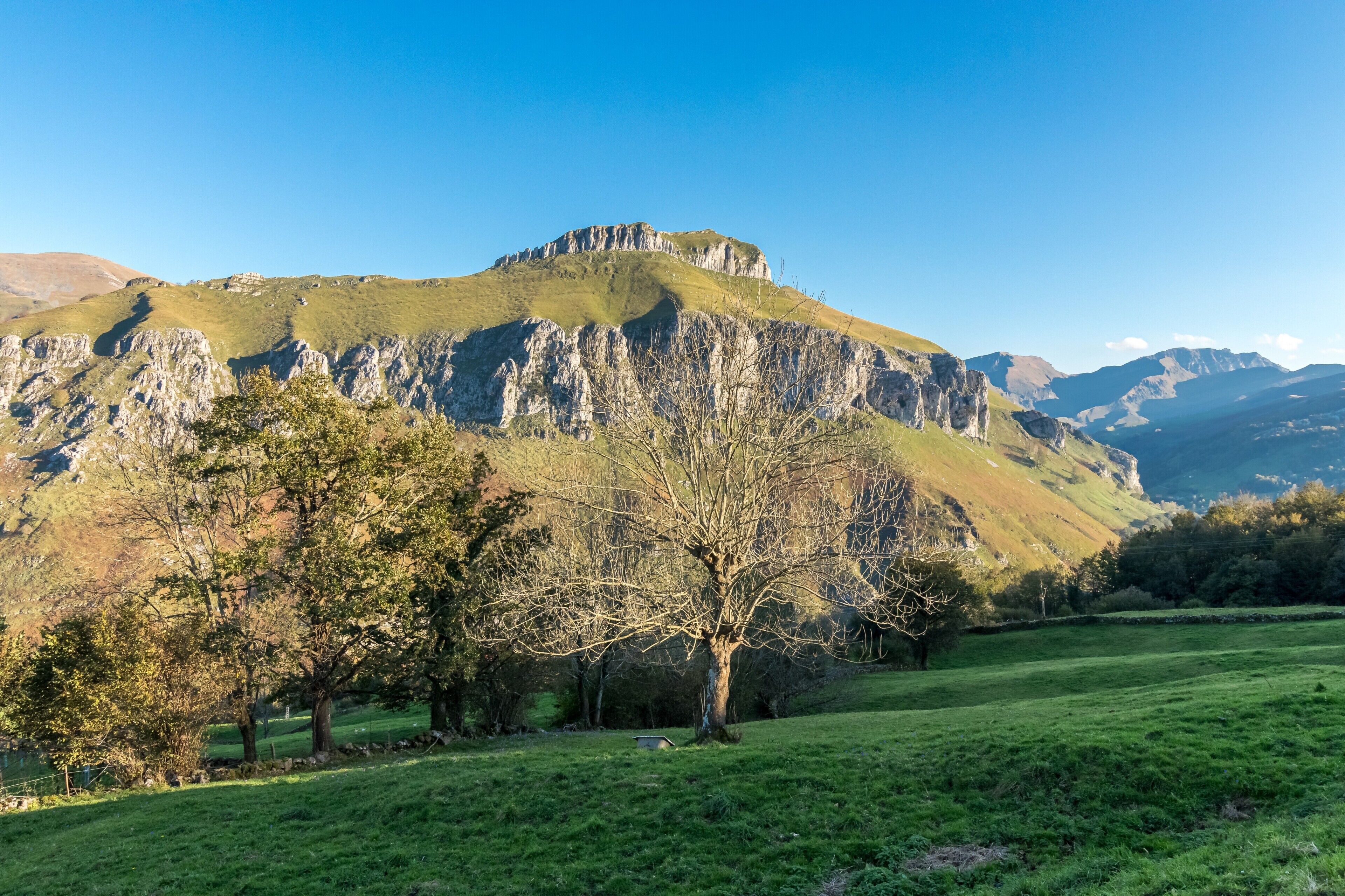 Eine gebirgige Landschaft mit einem markanten Gipfel, einer grünen Wiese und Bäumen.