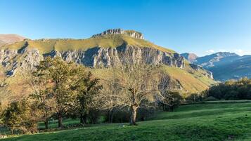 Eine gebirgige Landschaft mit einem markanten Gipfel, einer grünen Wiese und Bäumen.