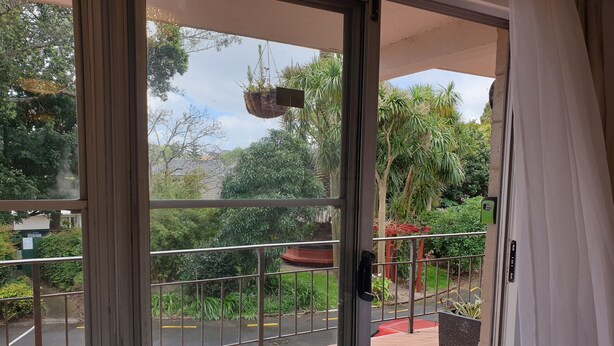 Ein Balkon mit Metallgeländer, einer hängenden Pflanze und Blick auf Grünflächen und Bäume.