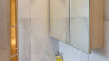 Shower, hair dryer, toilet paper