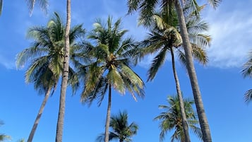 標準客房, 海景 | 客廳