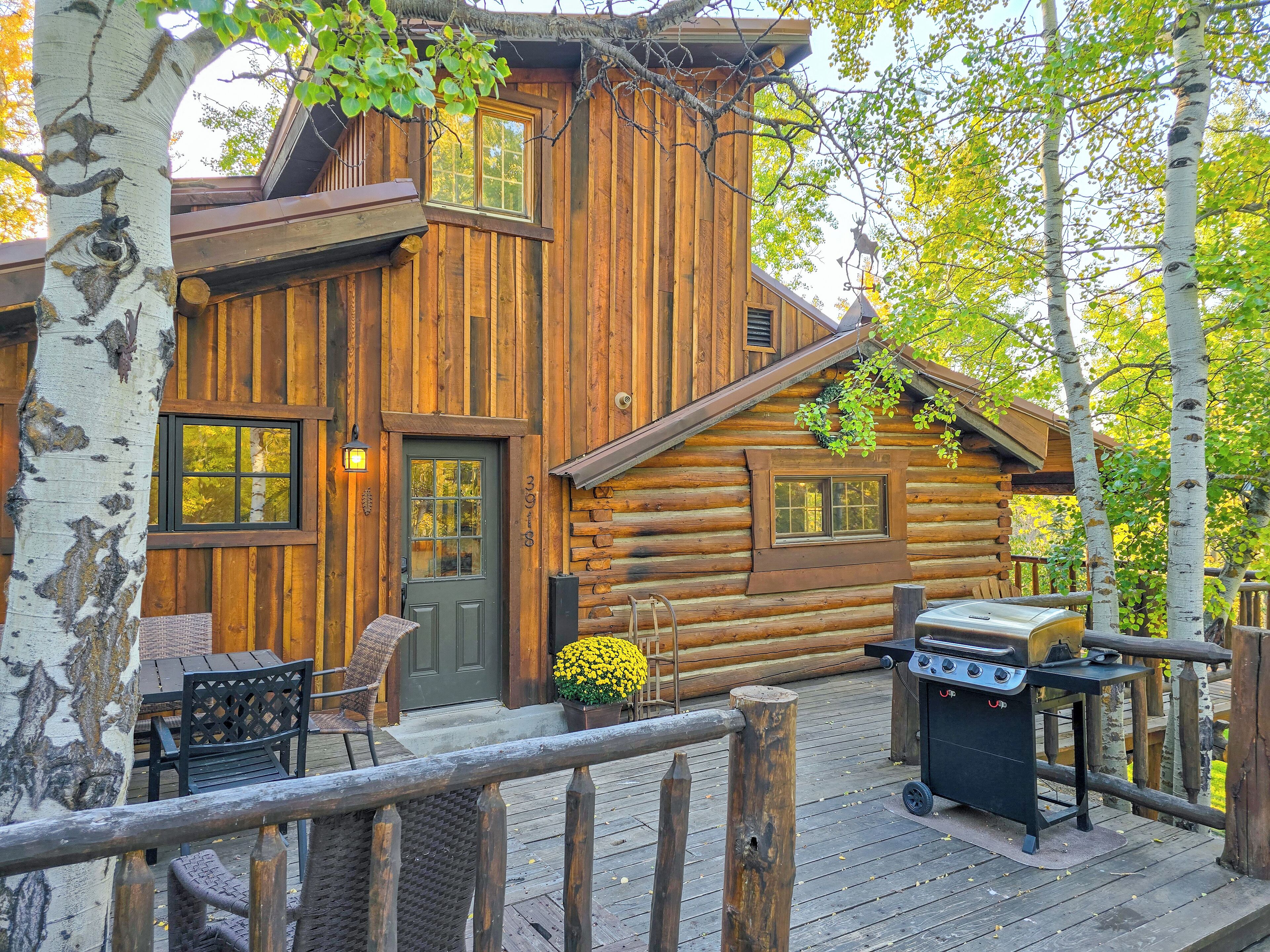 Opções para refeição ao ar livre