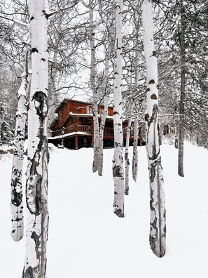 A wooden cabin surrounded by snow-covered birch trees.