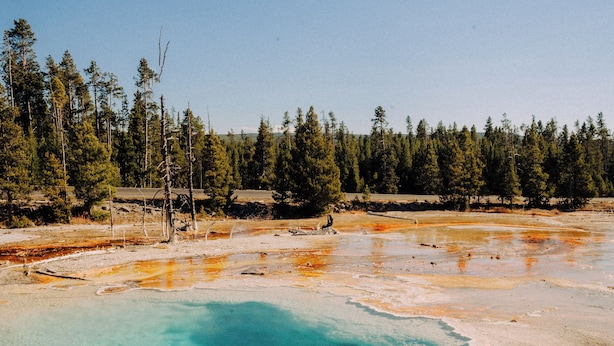 A natural landscape with a clear water body, surrounded by trees and a forested area. - 20 min to Yellowstone, Family Cabin, Fire Pit (Island Park)
