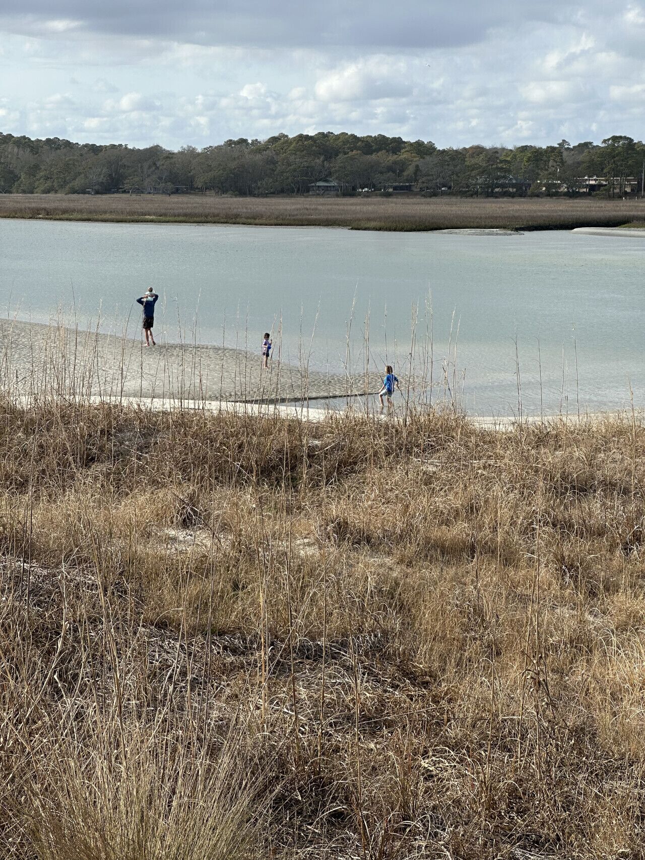 A lake with dry grass in the foreground and a person standing by the water's edge.