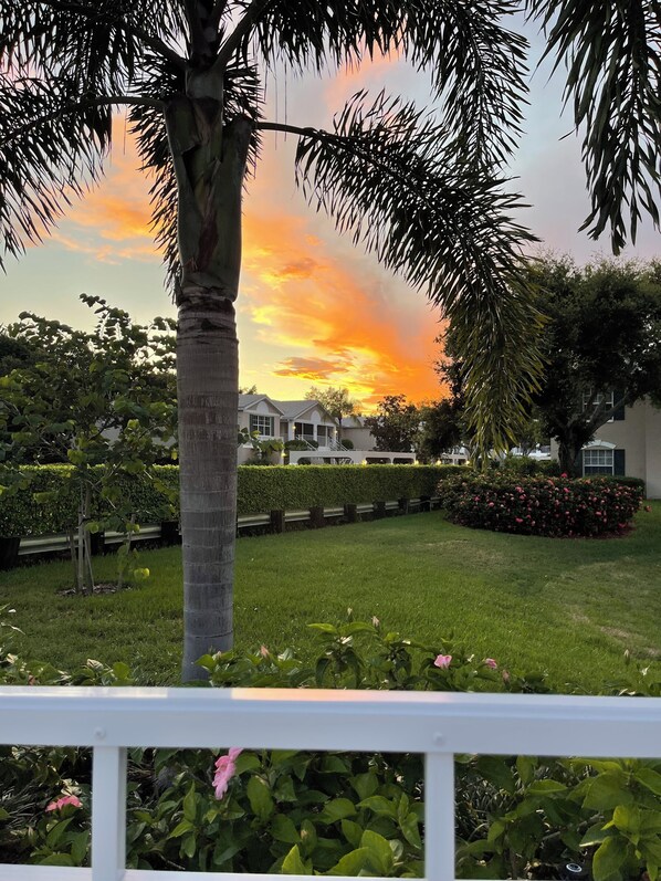 A residential area with a well-maintained lawn, a palm tree, and a hedge with pink flowers.