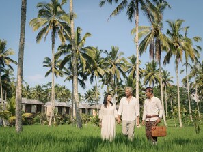 Garden - Khastana Hadi Tegallalang, Ubud (Sebatu)