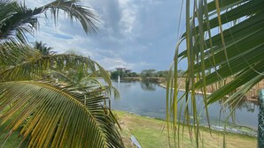 Vista de un río con palmeras y un edificio al fondo.