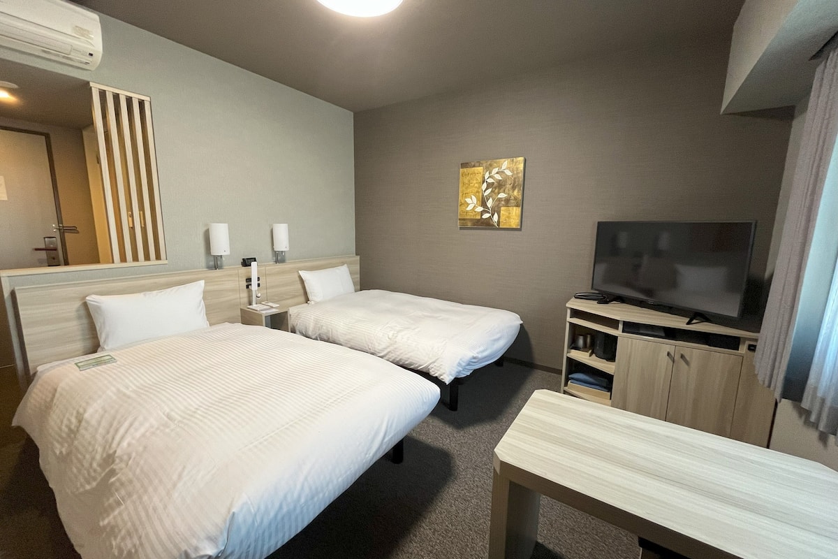 Habitación de hotel con dos camas, televisor, escritorio y espejo.