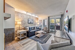 TV, fireplace, books