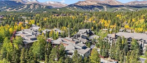 A residential area with houses surrounded by dense forest and mountains in the background.
