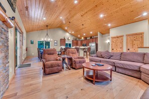 Televisión, chimenea y reproductor de DVD 