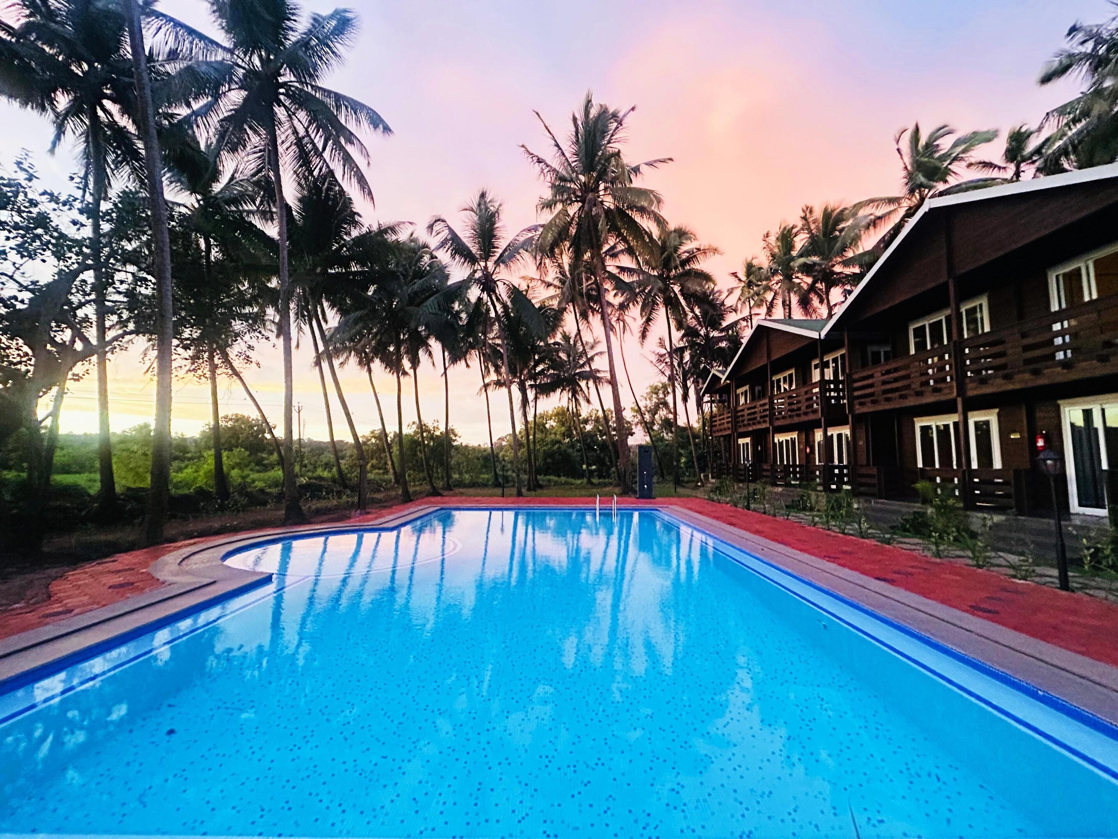 A swimming pool with a red border, surrounded by palm trees and a wooden building with balconies.
