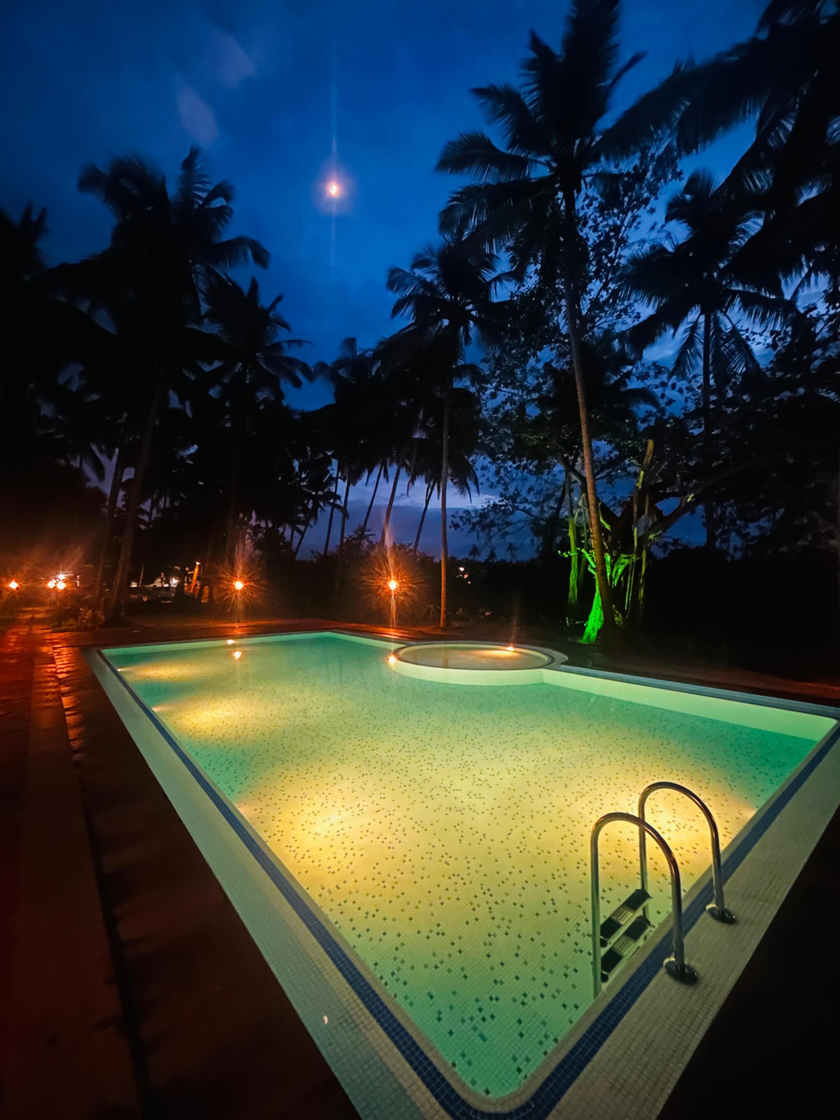 Una piscina al anochecer con palmeras al fondo.