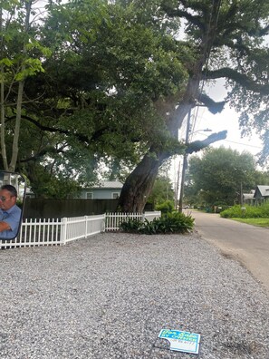 Property grounds - Beautifully Renovated 3-bedroom cottage in Old Town BSL. Close to Everything! (Bay St. Louis)