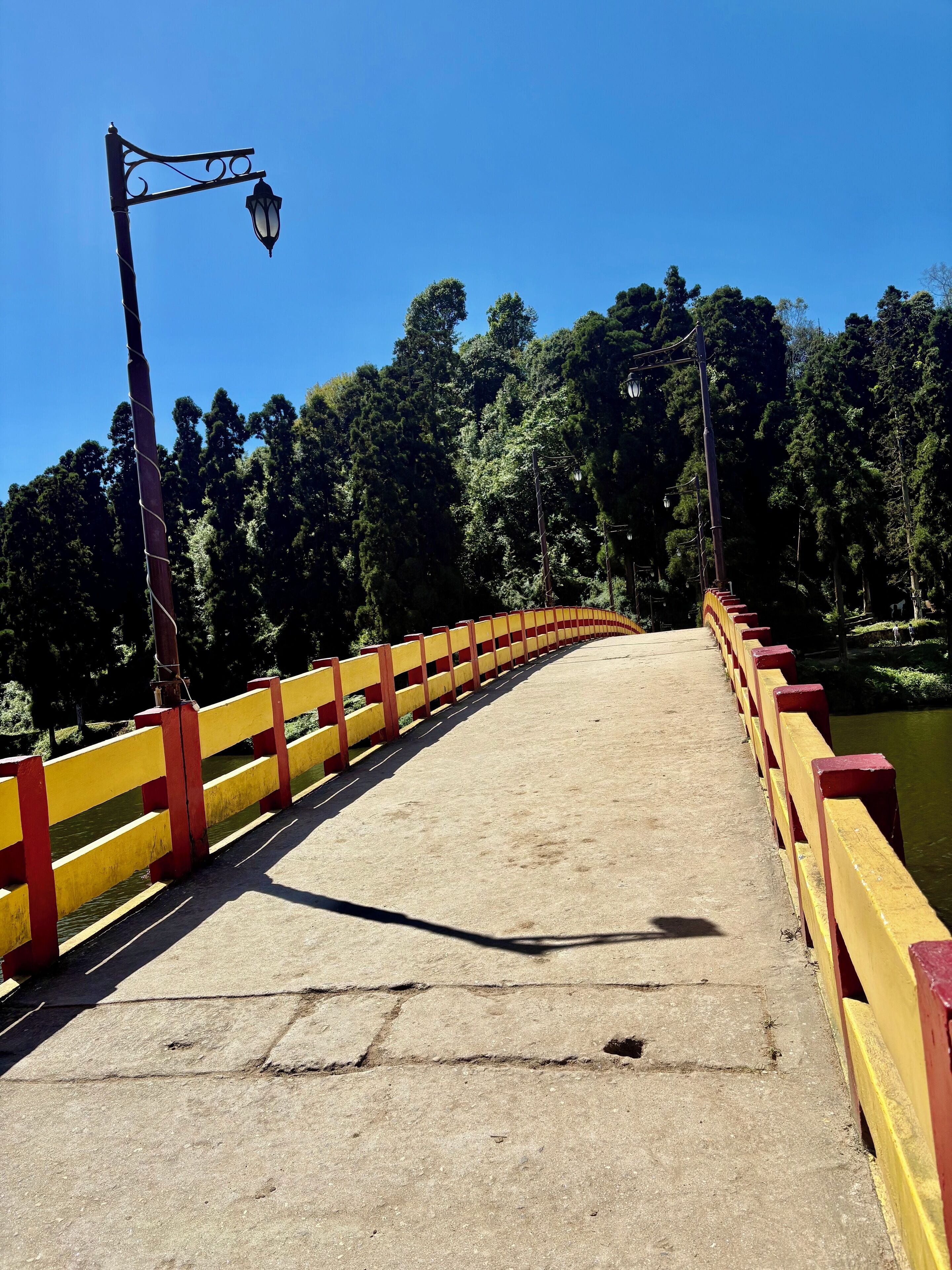 Un puente de hormigón con barandillas amarillas y rojas, un farol y un fondo de bosque.